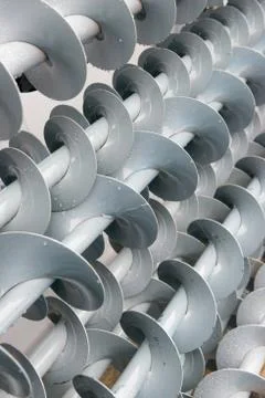 A group of grey augers Foto stock
