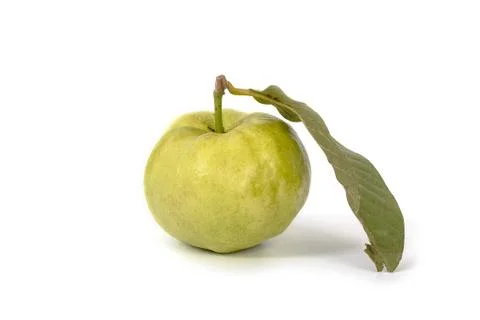 Group of guava fruit,tropical fruit Stock Photos