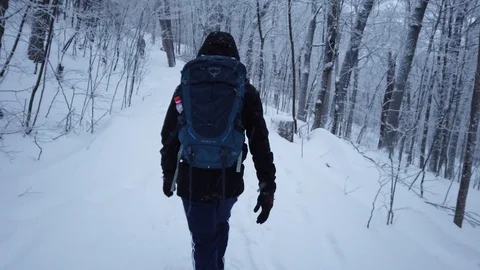 Group of guys hiking down a mountain during winter in Mont-St-Hilaire, Quebec Stock Footage 102481581