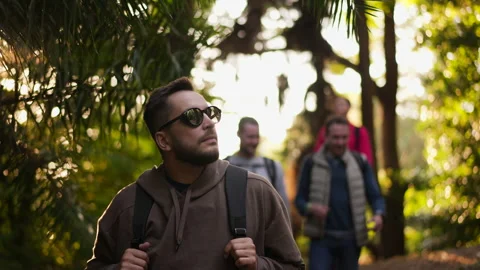 Group of guys on vacation walking through forest, camping, hiking trip on woods. Stock Footage 163844109