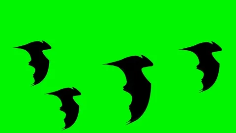 A group of Halloween Flat style Bats flying against green background. Stock Footage 117179982