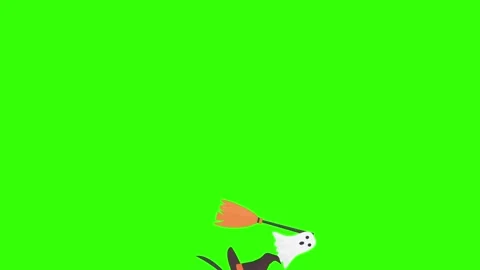 Group of Halloween graphic elements animation green screen Stock Footage 159675700
