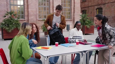 Group of happy multiracial students meeting to study together arriving at Stock Footage 273630644