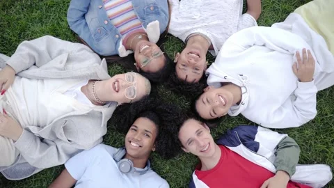 Group of happy young people lying at grass and looking at the camera. Smiling Stock Footage 167937313