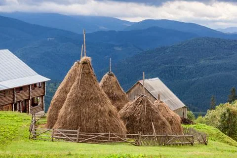Group of haystack against hills in Carpathian mountains. Foto stock