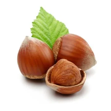 Group of hazelnuts with green leaf isolated Stock Photos