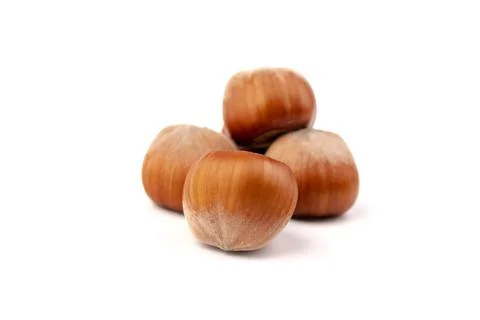 Group of hazelnuts, isolated on white background Stock Photos