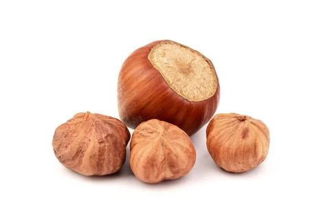Group of hazelnuts, isolated on white background 스톡 사진