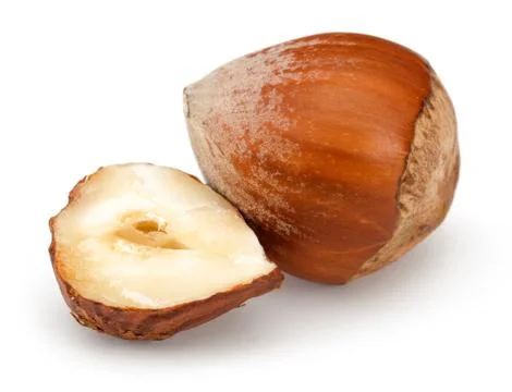 Group of hazelnuts isolated on white Stock Photos