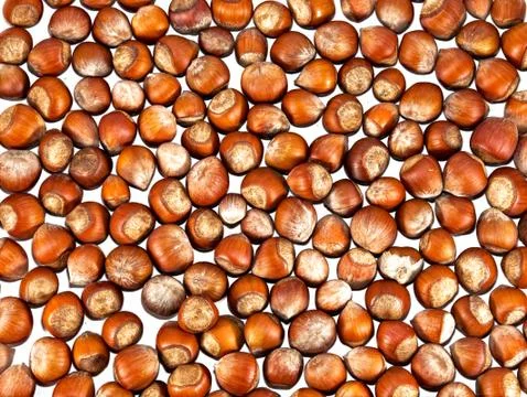 Group of hazelnuts Stock Photos