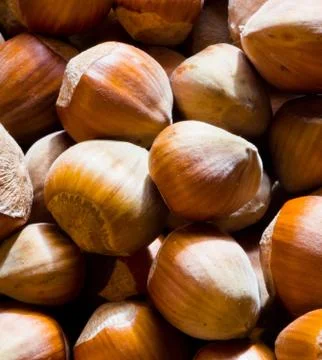 Group hazelnuts Stock Photos
