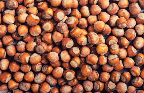 Group of hazelnuts Stock Photos