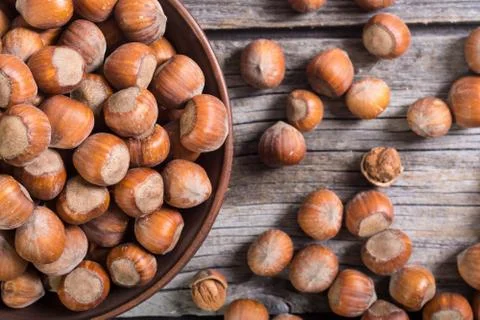 Group of hazelnuts Stock Photos