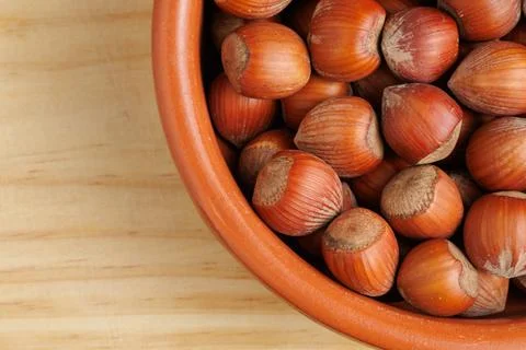 Group of hazelnuts with shell in a terracotta container on a kitchen board Фото