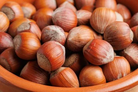 Group of hazelnuts in shell in a terracotta container ready to eat Stockfoto's
