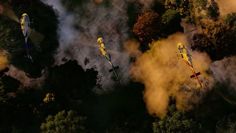 Group of helicopters flying in the sky Stock Footage 124802061