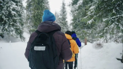 Group of hikers with backpacks trek through snowy forest on winter adventure Stock Footage 341337802