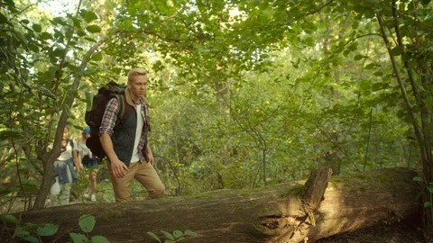 Group of hikers with backpacks walking in the forest Stock Footage 96192882