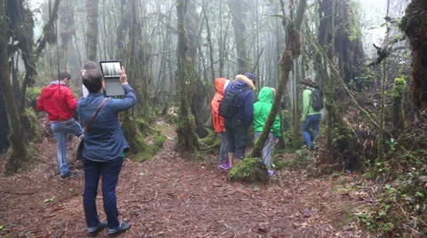 Group of hikers from different countries in the jungle Stock Footage 48108832