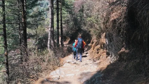 Group of Hikers going in Mountain Forest trek Stock Footage 118602752