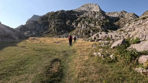 Group of hikers in the mountains Stock Footage 320927280