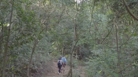 A group of hikers is trekking up a dirt path. Video stock 341801745