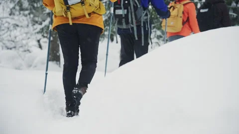 Group of hikers trekking through deep snow in winter forest Видео 330068587