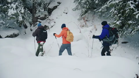 Group of hikers trekking through deep snow in winter forest Stock Footage 331665100