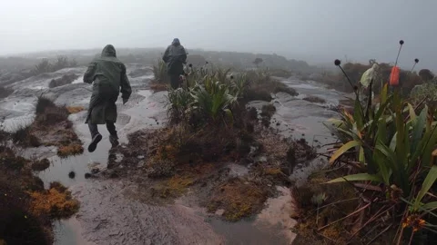Group of hikers walking on flat top of Mount Roraima in gloomy rainy day Stock Footage 244860204