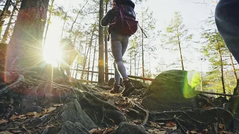 Group of hikers walking up forest hillside Stock Footage 83318607