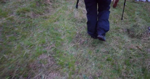 Group of hikers walking on a mountain Video stock 132302981