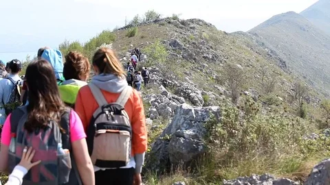 Group of hikers walking in the nature Stock Footage 79796510