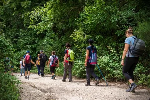 Group of hikers walks the path inside the woods Stock Photos