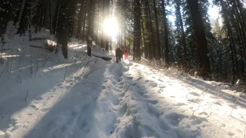 Group Of Hikers In Winter Mountains Chasing The Sun Stock Footage 150963629