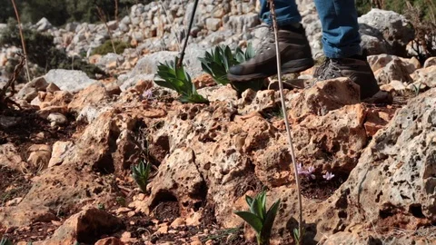 Group of hikes walking down a hill Stock Footage 104089594