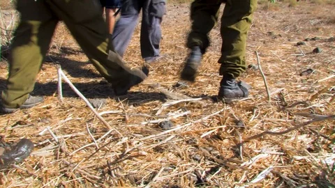 Group hiking 02 Stock Footage 89480115