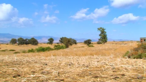 Group hiking 03 Stock Footage 89480194