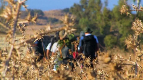 Group hiking 09 Stock Footage 89480259