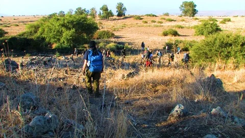 Group hiking 10 Stock Footage 89480334