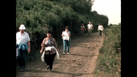 Group Hiking on Mountain Path Stock Footage 278240545