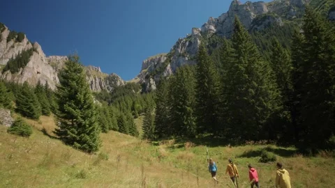 Group hiking a mountain path with pine trees Stock Footage 328122934
