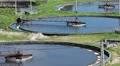 Group of huge circular sedimentation tanks. HD Footage