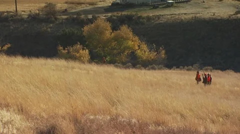 Group of hunters standing in ranch for pheasant hunting Stock Footage 54593947