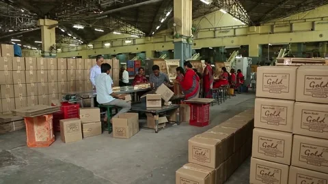 Group of indian workers in uniform packing and sealing soap boxes Stock Footage 228208671