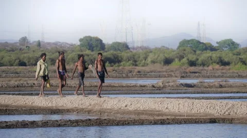 A group of Indian workers walking on a bund of salt pan flats Video stock 337092861