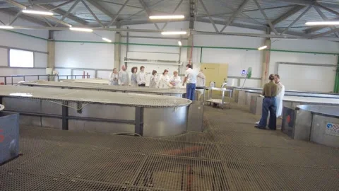 A group of individuals is engaged in learning activities within a research facil Stock Footage 347253514