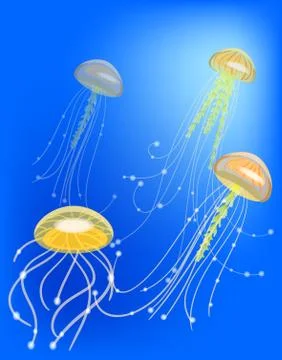 Group of jelly fish vector illustration, underwater world Stock Illustration