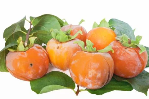 Group of Kaki Stock Photos