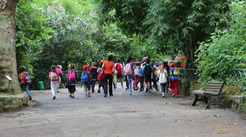 Group of kids Stock Footage 39827243