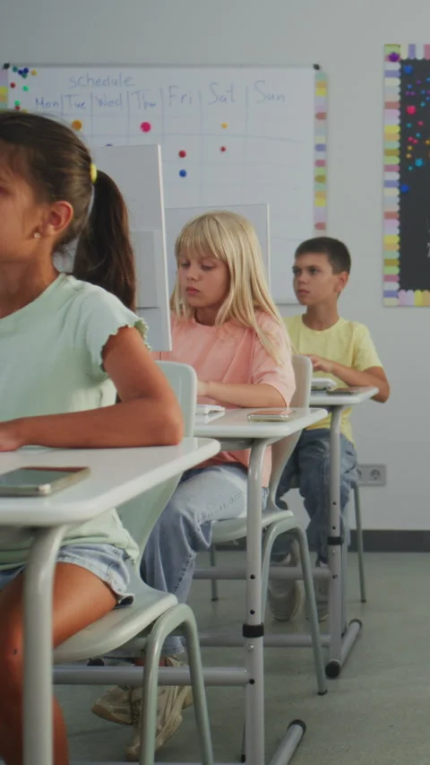 Group of Kids Practicing Digital Skills, Studying Programming in Computer Stock Footage 317163886